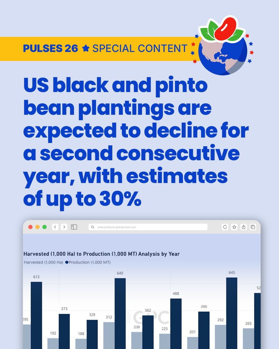 GlobalPulsesGPC's tweet image. 2025/26 has been a year of depressed prices for black beans and pintos, after strong production filled global pipelines and key demand zones cooled their interest.

pulsepod.globalpulses.com/pod-feed/post/… 

#GPC #Pulses #USBeans #Beans #BlackBeans #PintoBeans #DryBeans