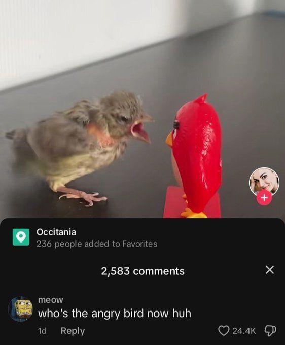 🕐HOURLY🕑 shitpost (@hourly_shitpost) on Twitter photo 