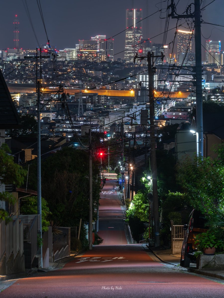 ひで猫 tweet media