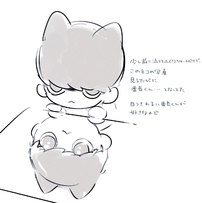 サネ吉 tweet media