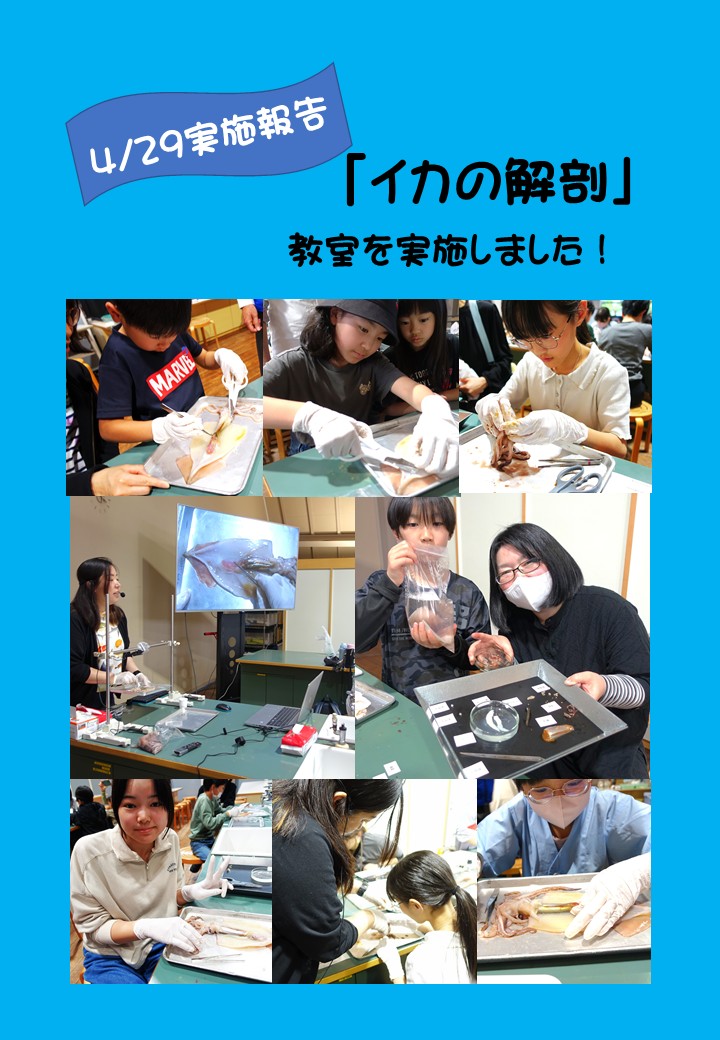 【公式】山梨県立科学館 tweet media