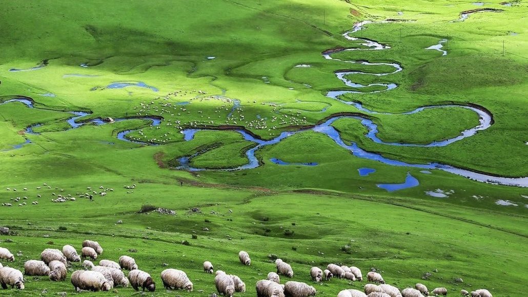 Ekoloji Radarı tweet media