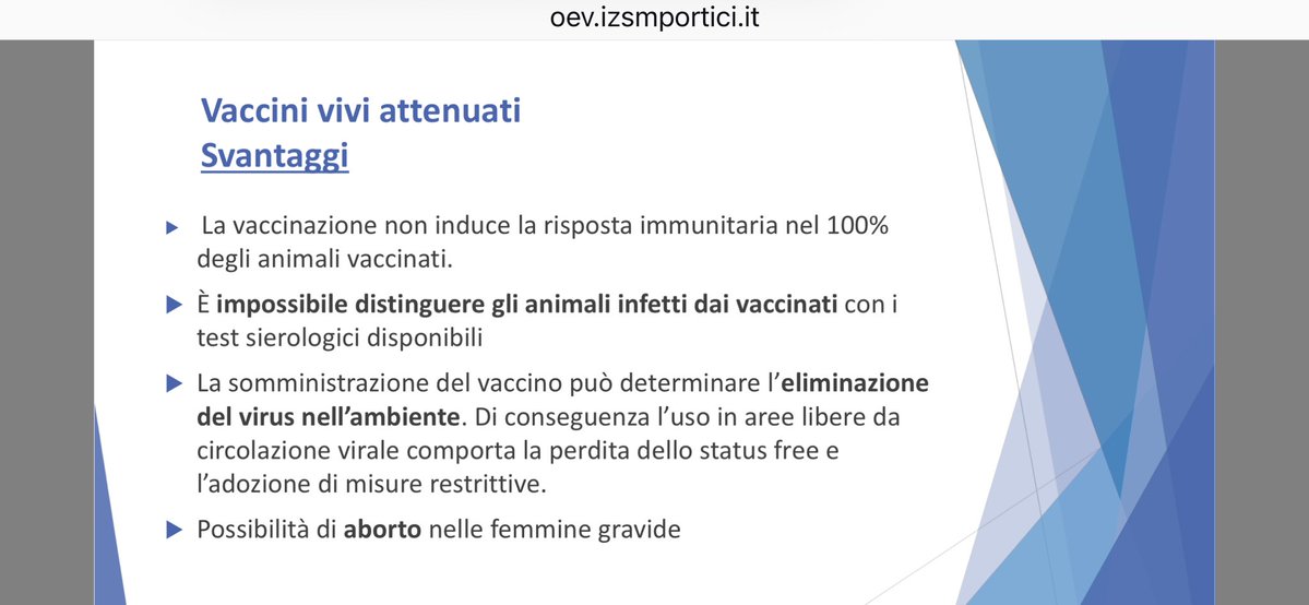 A questo va aggiunto il fatto che:
- questi vaccini non hanno un’efficacia immunizzante certa;
- i capi infetti NON SONO DISTINGUIBILI DA QUELLI VACCINATI;
- i vaccini hanno effetti collaterali importanti (come l’aborto nelle vacche gravide);
- il virus di per sé ha una mortalità