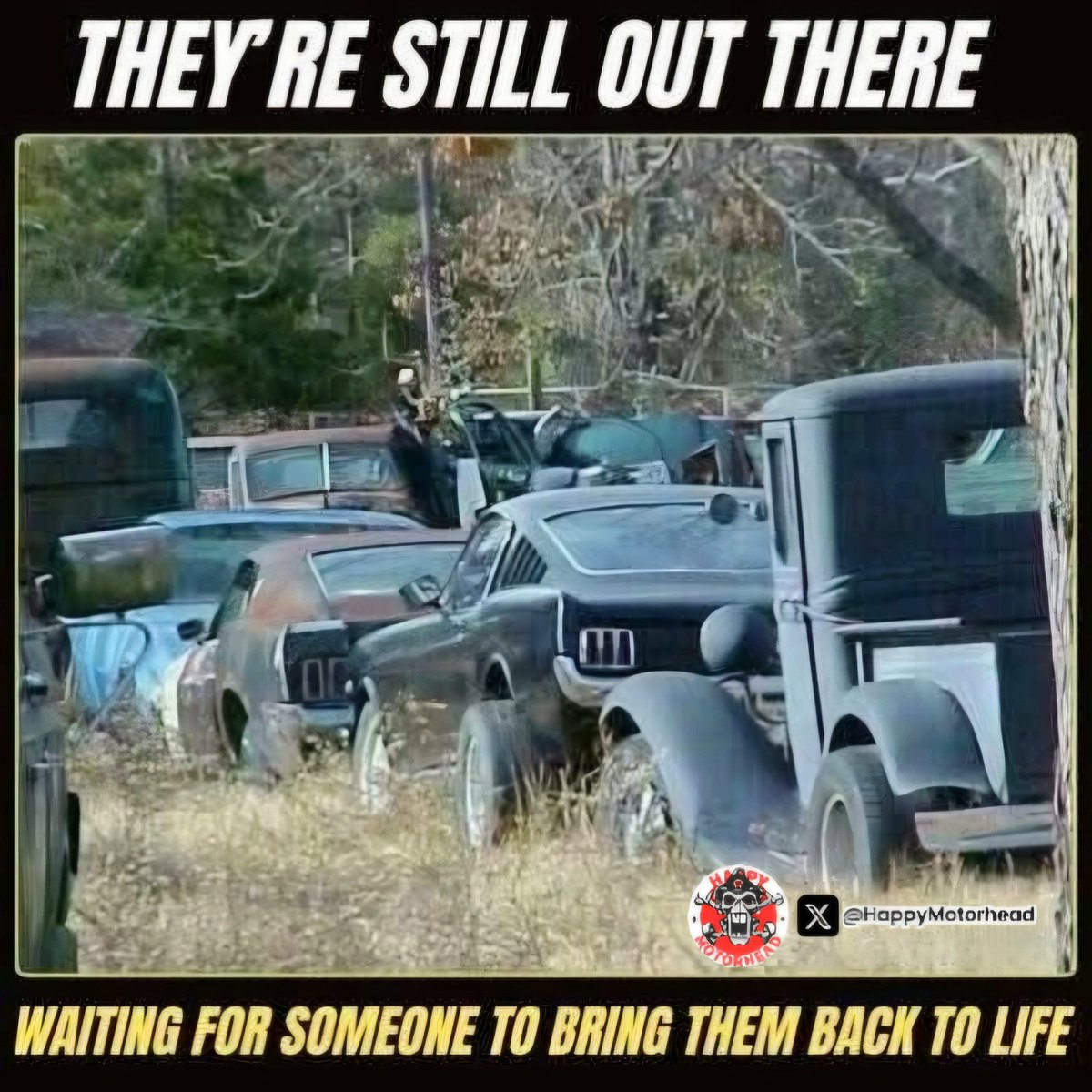 HappyMotorhead's tweet photo. These legends are STILL out there getting swallowed by weeds...
Which one are you dragging home to revive first? 👀😂
#BarnFinds #ClassicCars #ResurrectionProject #HappyMotorhead https://t.co/CaJG6P2El0