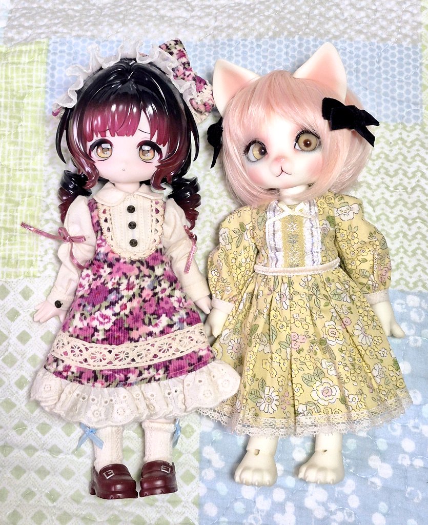 だいたいの想像通りDPに近いサイズ
ドロちゃんに作ったお洋服(ピンクの)は袖の長さまでベストだった
ブライス用だとやや袖や丈が長めだけど着れなくはない
いやかわいいな
