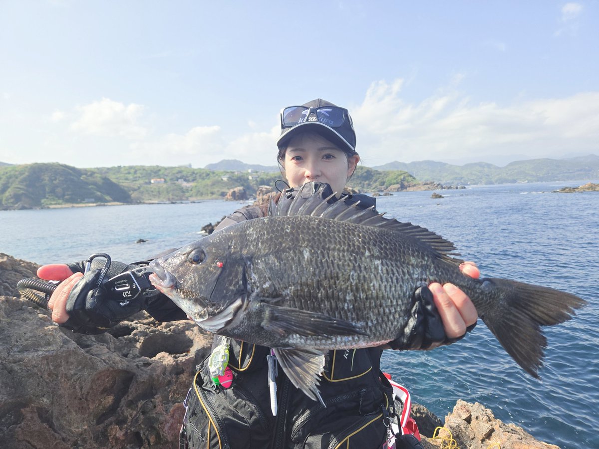 みー🐟 tweet media