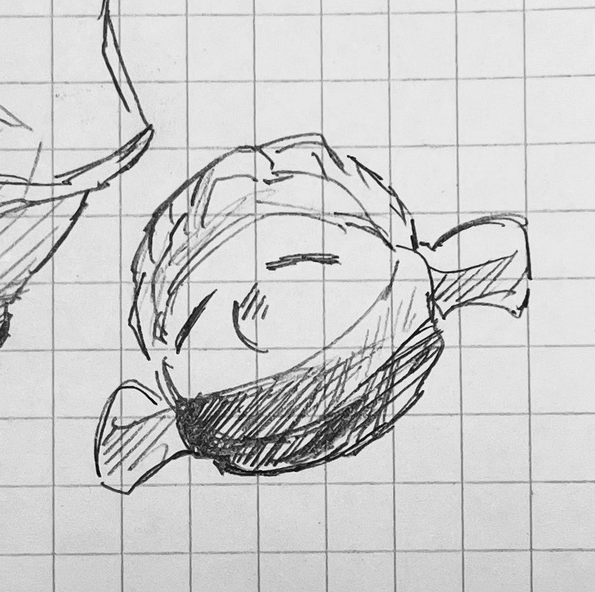 カモミール tweet media