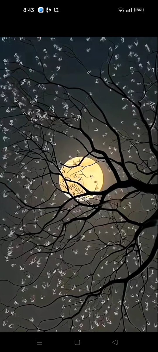 Moon Lovers tweet media