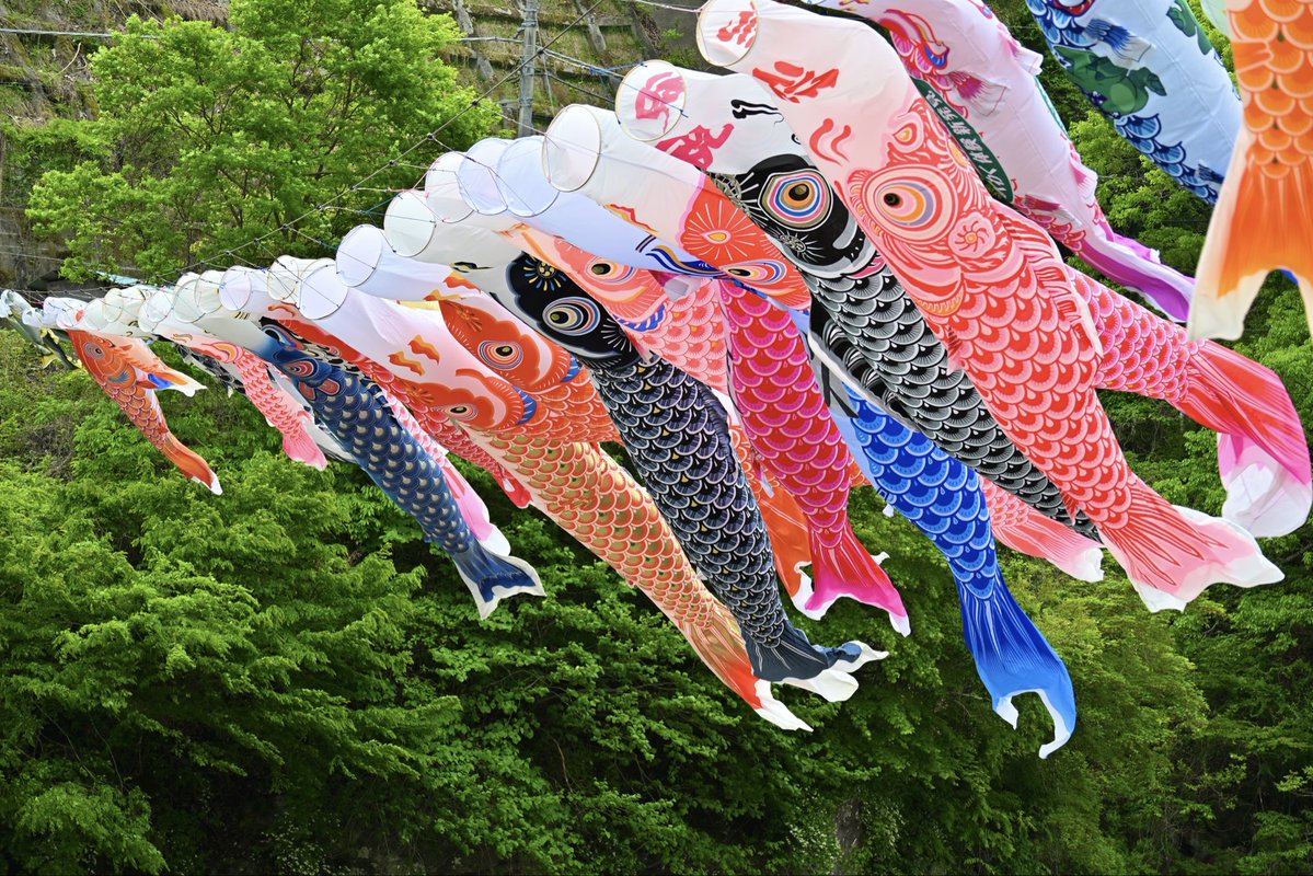 神流町の鯉のぼりを見に行きました。 #こいのぼり #写真 #カメラ