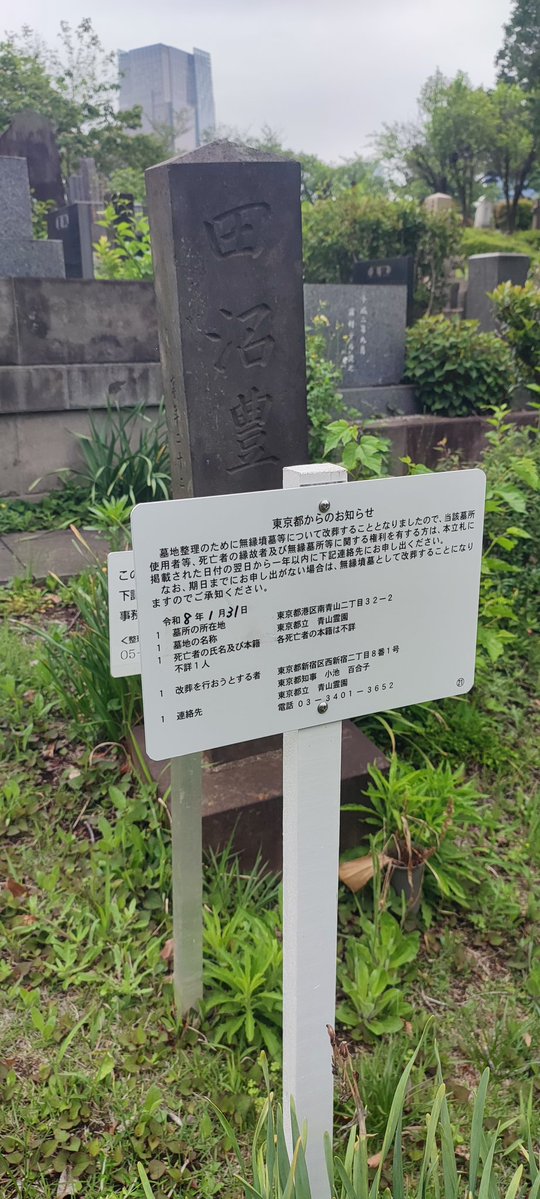 ムラタ tweet media