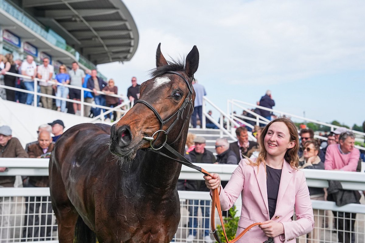 carcolstonstud's tweet photo. 𝙊𝙉 𝙈𝙀𝙎𝙎𝘼𝙂𝙀 (Camelot x Wiener Valkyrie) gets her 3YO campaign off to the perfect start with a commanding victory at Epsom. The daughter of Camelot holds entries in the English &amp; Irish Oaks 🤞🍀
@formanhardy @coolmorestud https://t.co/eThkMeoICp