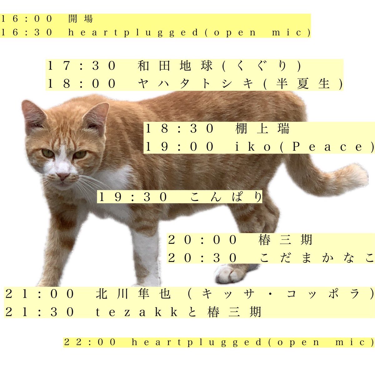 棚上瑞 tweet media