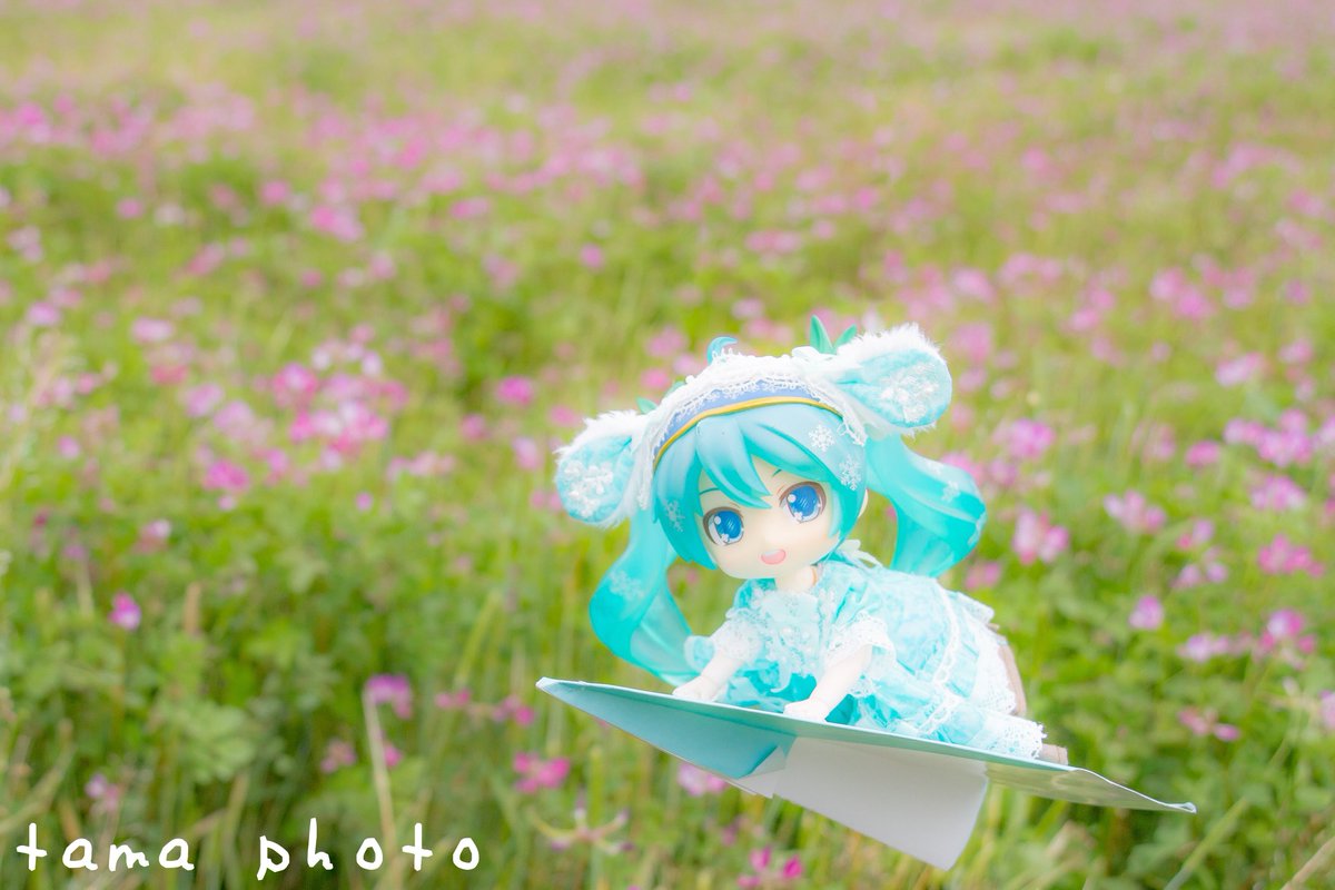 紙ひこうきでレンゲ野にお出かけ😁
楽しい😆

#ねんどり #おでかけ #ねんどろいどどーる #初音ミク