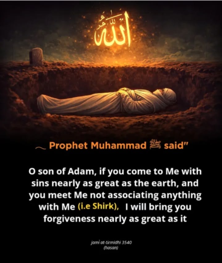 khulaimath ❤️ tweet media