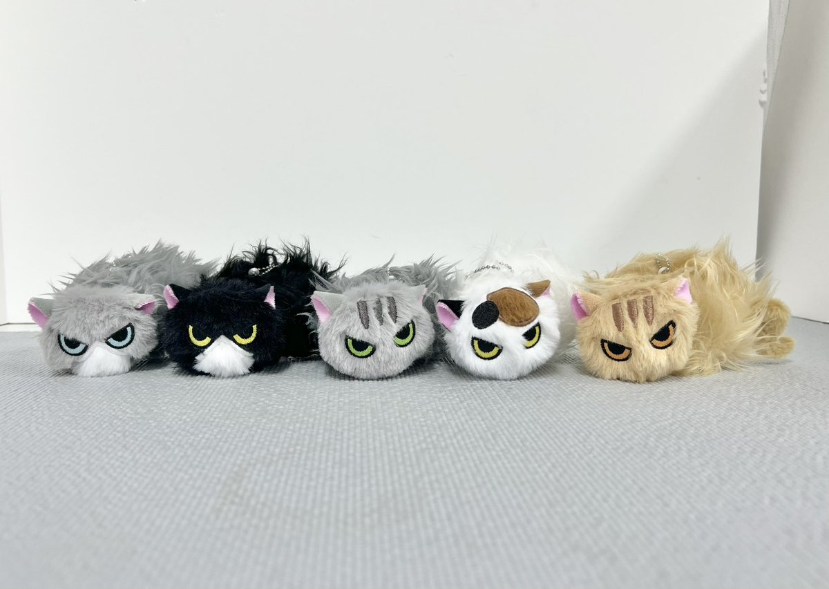 せこなお tweet media