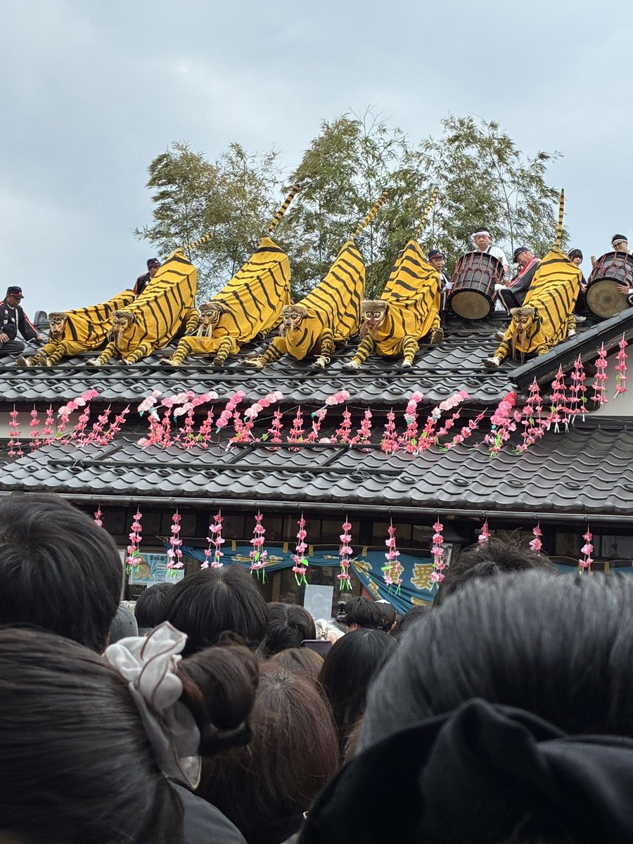 MoveoverTry's tweet photo. 今日、宮城県加美町で火伏の虎舞がありました
大槌町に届きますように🙏 https://t.co/QnxCTpGI6m
