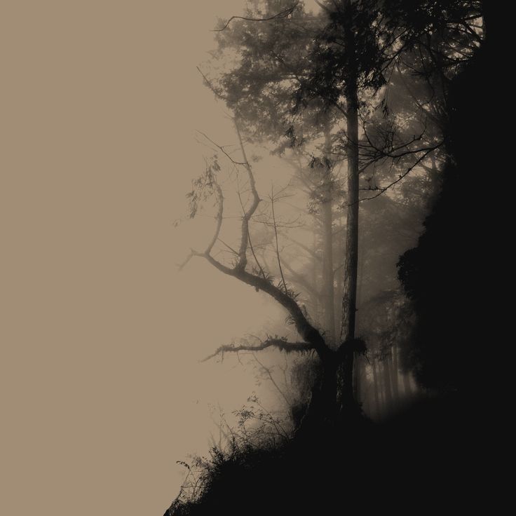 𝒮𝒶𝑔𝑒 tweet media