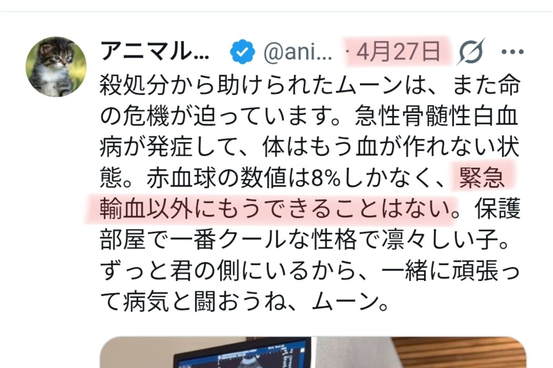 Mikitora🆕 tweet media