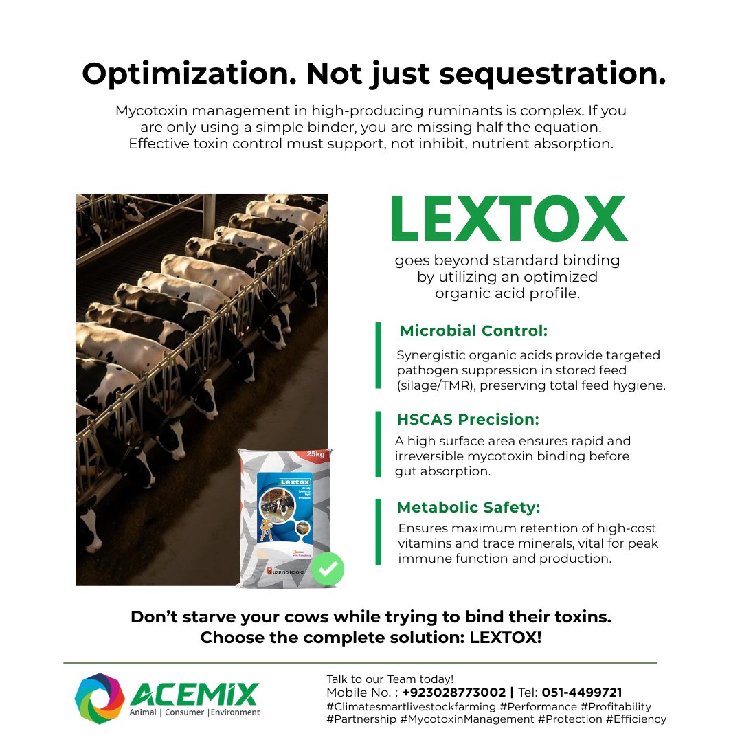 ACEMIX_OFFICIAL's tweet image. 🐄Optimization. Not just sequestration.
Don’t starve your cows while trying to bind their toxins. LEXTOX protects your herd. Talk to our Team: 📞 +92‑302‑8773002🌐 acemix.com.pk
#ACEMIX #MycotoxinManagement #ClimateSmartLivestockfarming #Protection #RumenHealth