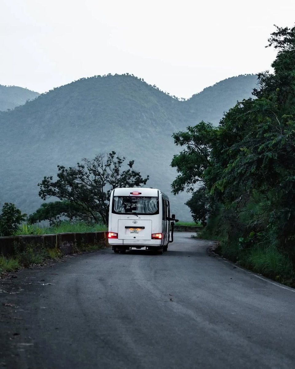 ANI NYONG BASSEY tweet media