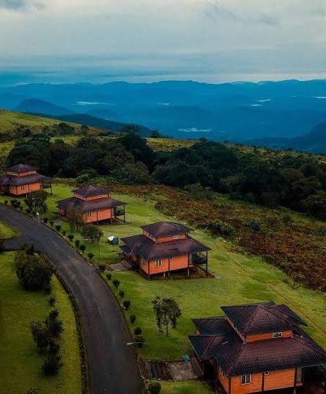 ANI NYONG BASSEY tweet media