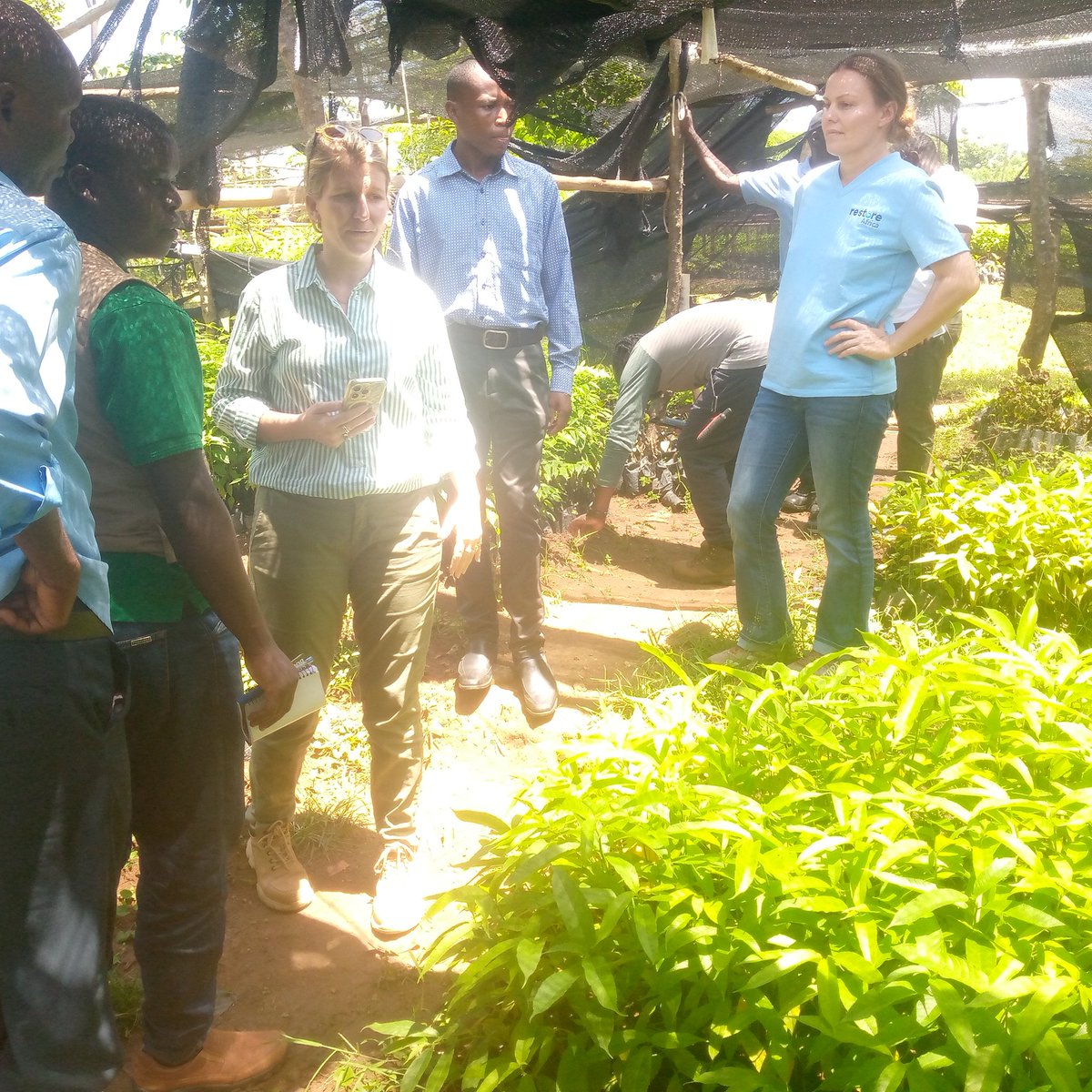 MasongoleR's tweet image. Trade in ecosystems services is now a real business. Uganda stands to benefit a lot from this act of climate justice, 
#distribution of tree seedlings under restore Africa -+++manafwa
@EverGreeningA @theGEF @min_waterUg