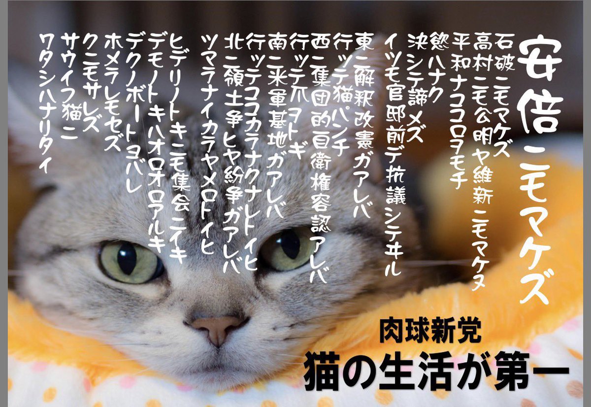 この #肉球新党 公式アカウントは2015年5月26日に開設し、この日を「結党」した日としています。もうすぐ11年です。