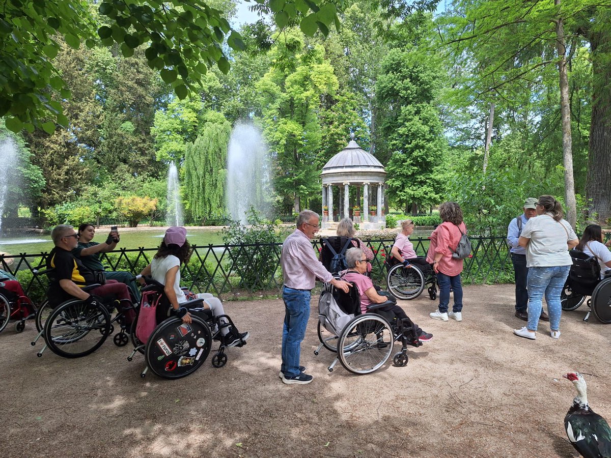 H. N. Parapléjicos tweet media