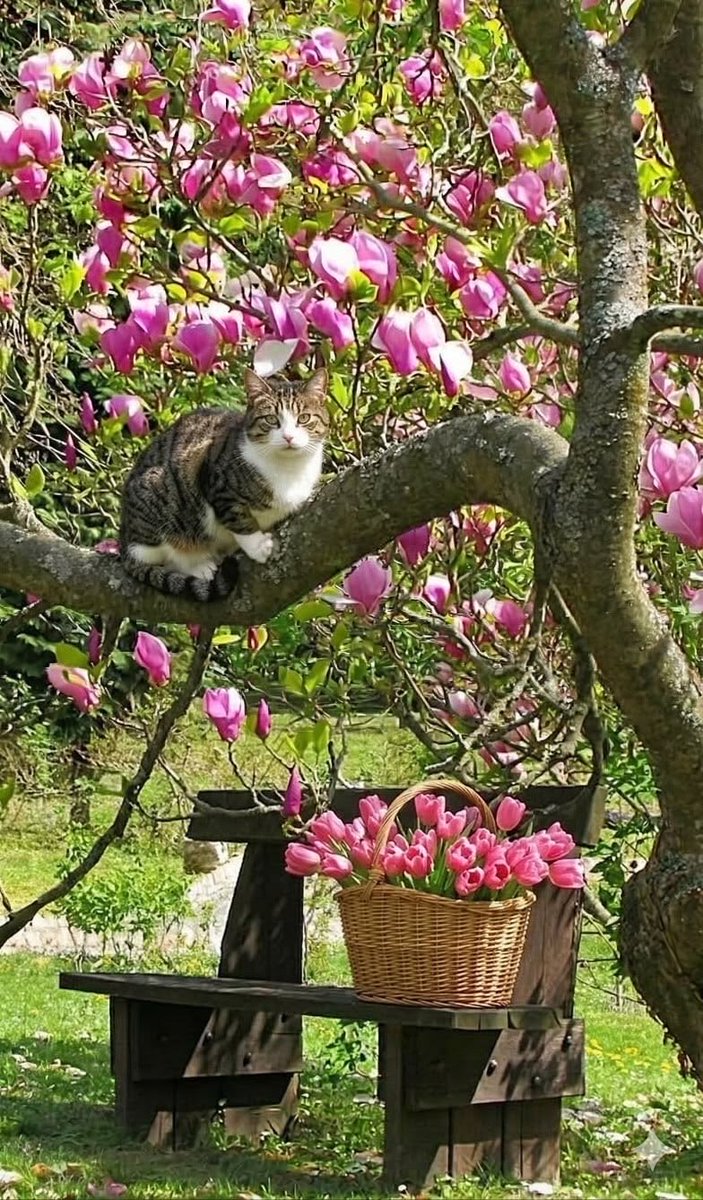 Abbie 🌸🍃 tweet media