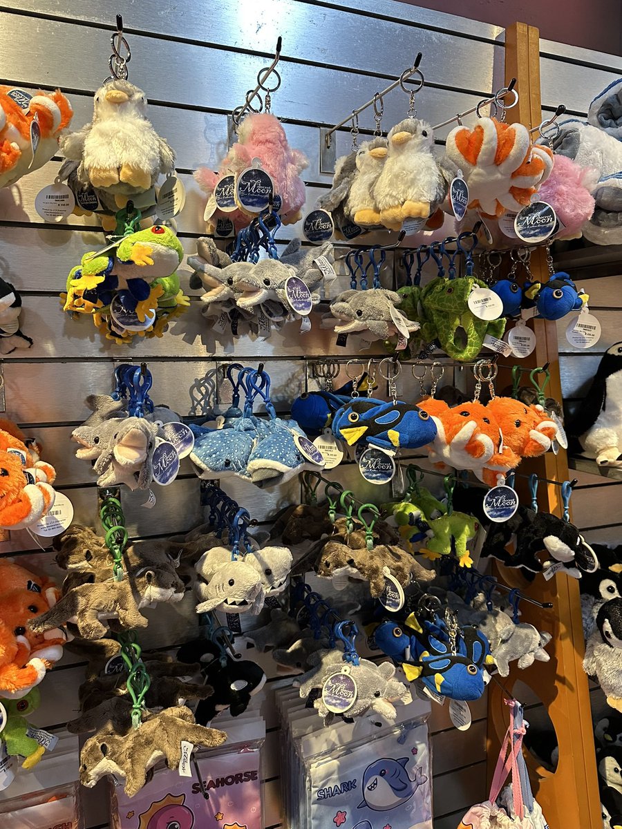 เม่วิส tweet media