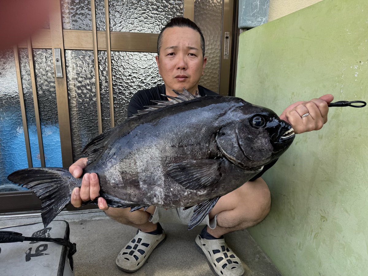 釣りキチなクロス屋（ノ非） tweet media