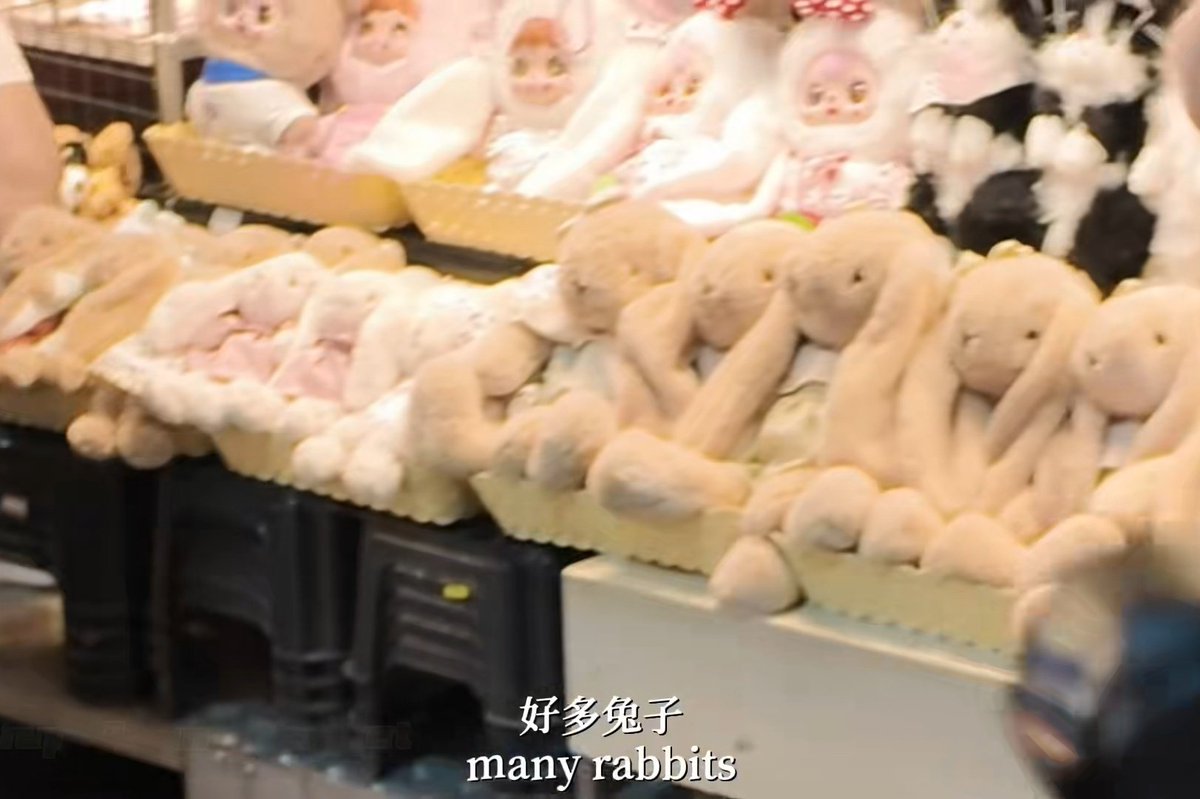 夏天的乐乐 tweet media