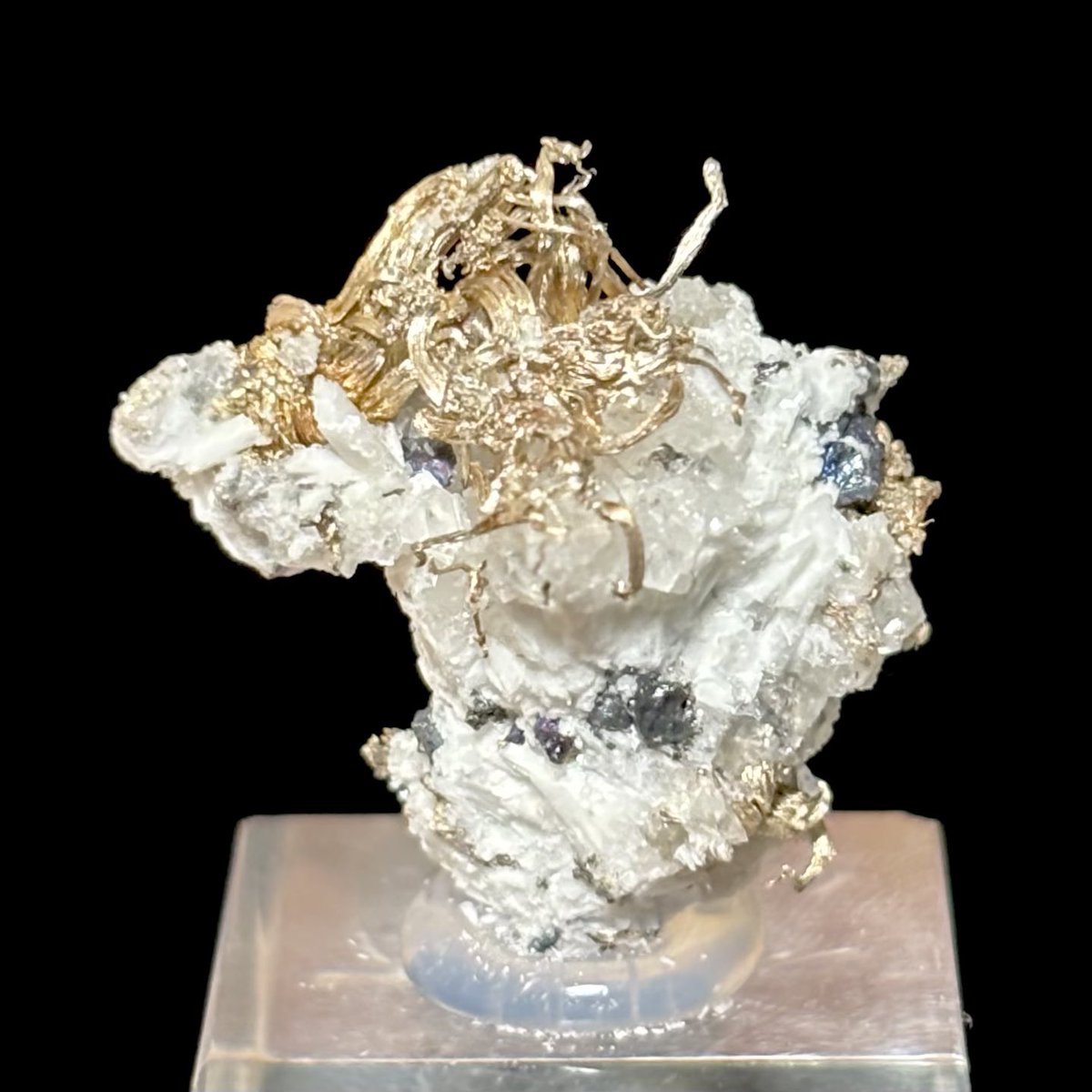 まーぼー tweet media