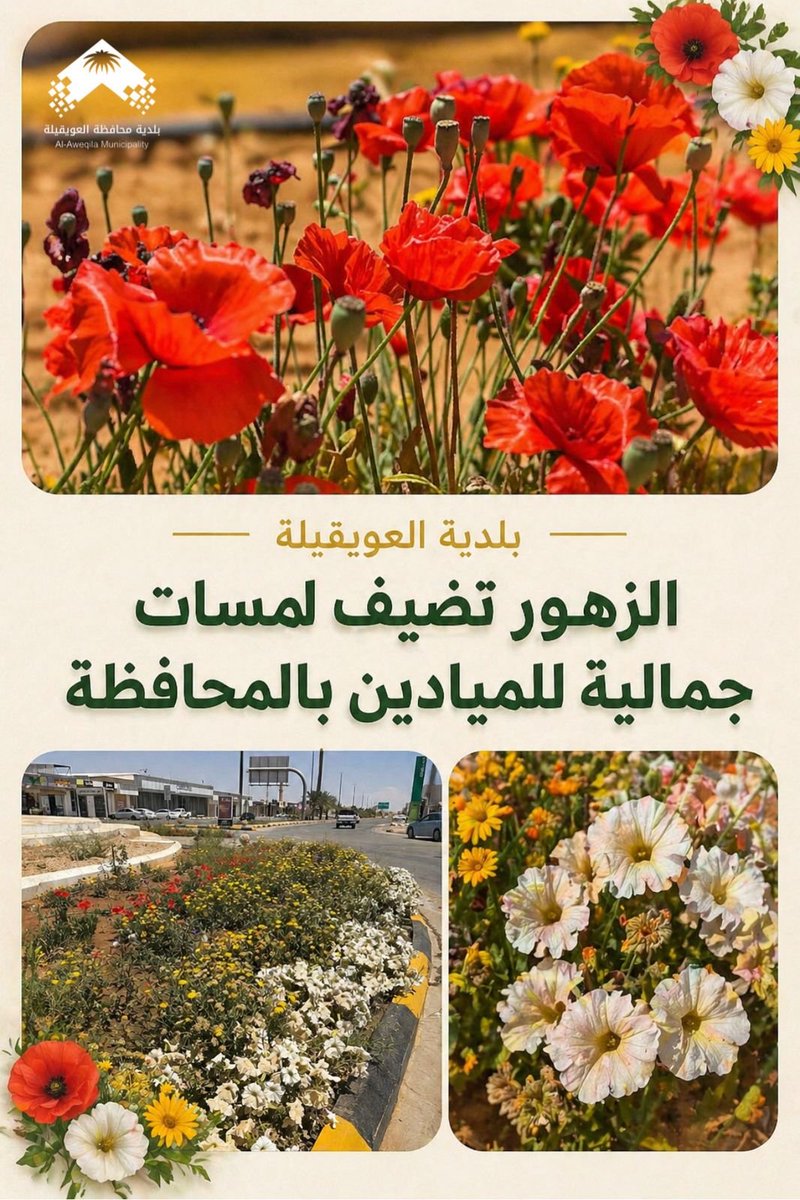 #بلدية_محافظة_العويقيلة 
#امانة_منطقة_الحدود_الشمالية