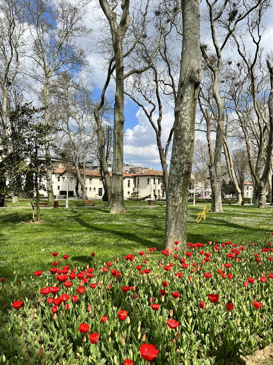 AllaKrymova's tweet photo. Парк Гюльхане🌷🍀🌳🌷☘️🌳 https://t.co/5AOwwxKKME