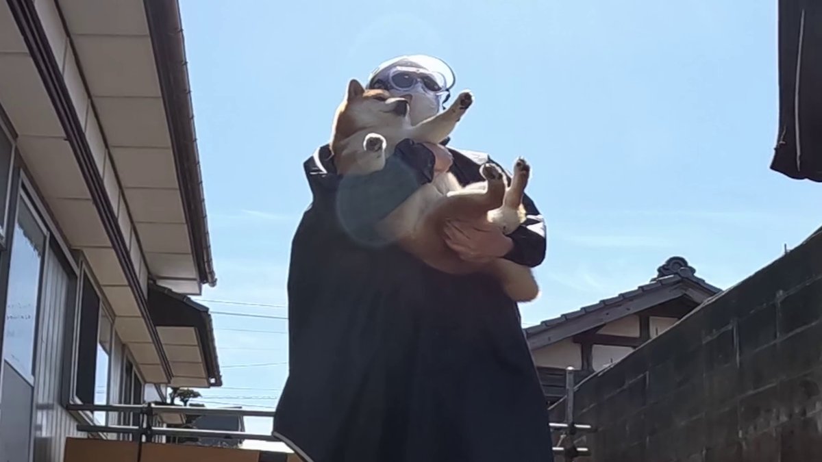 GMJpaCSCbuIDYDw's tweet image. 2026年5月2日(土) 
今年も不審者に連れ去られるココさん
【お風呂解禁日】
#dog #shiba #犬 #柴犬 #丸柴 #犬のいる生活 #柴犬がいる暮らし
この続きはコチラから👇️
youtu.be/441yD7pPHNQ @YouTube