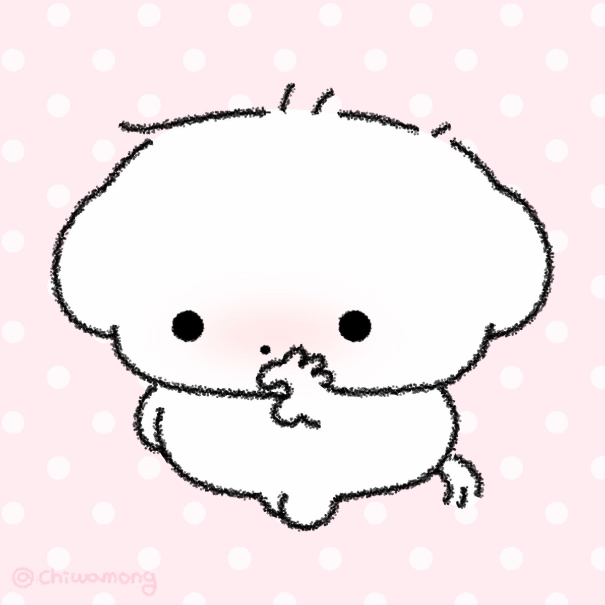 치와몽 tweet media