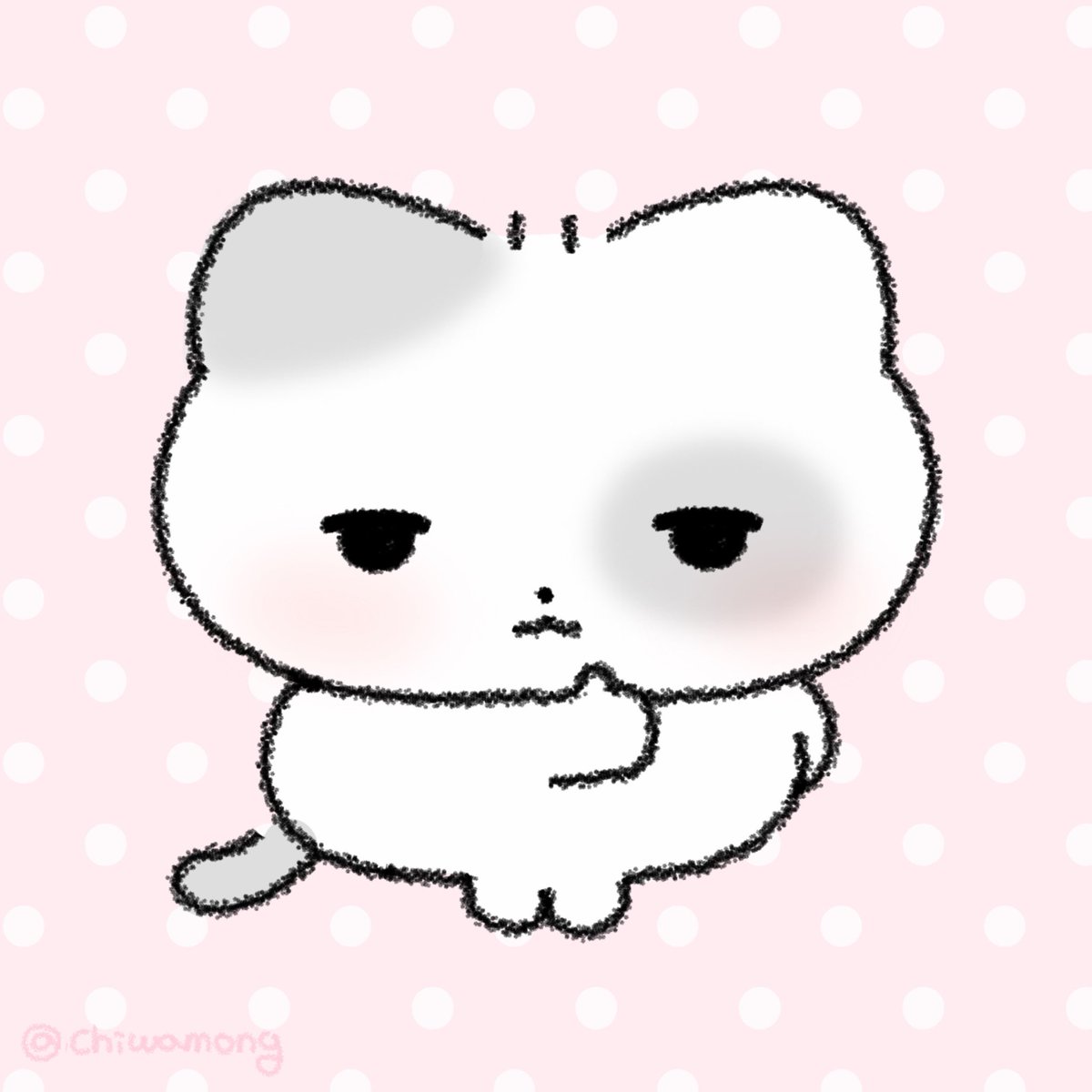 치와몽 tweet media