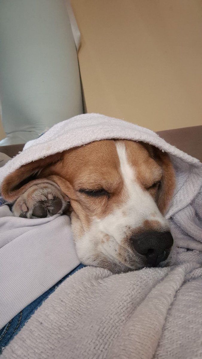 Buongiorno!