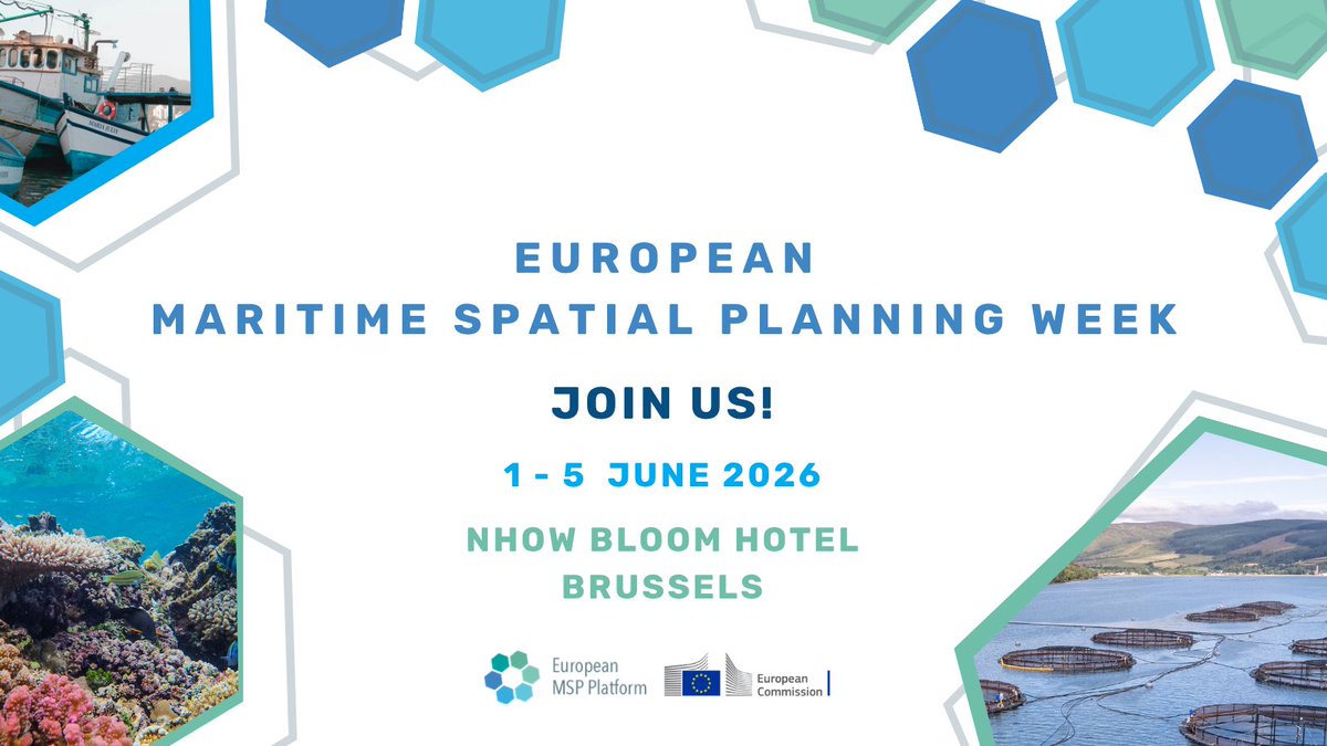 EU MSP Platform tweet media