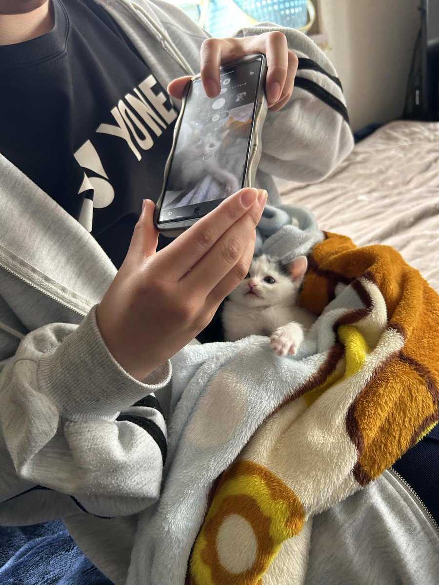 Cat 🐈 (@Cutecatpost) on X