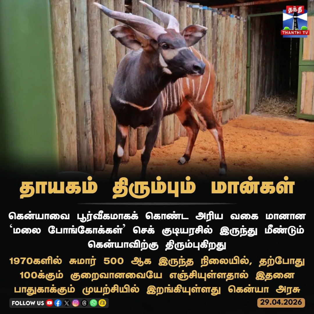 ThanthiTV's tweet photo. தாயகம் திரும்பும் மான்கள்

#KenyaNews #MountainBongo #WildlifeConservation #thanthitv https://t.co/IBmUfpdUZ9