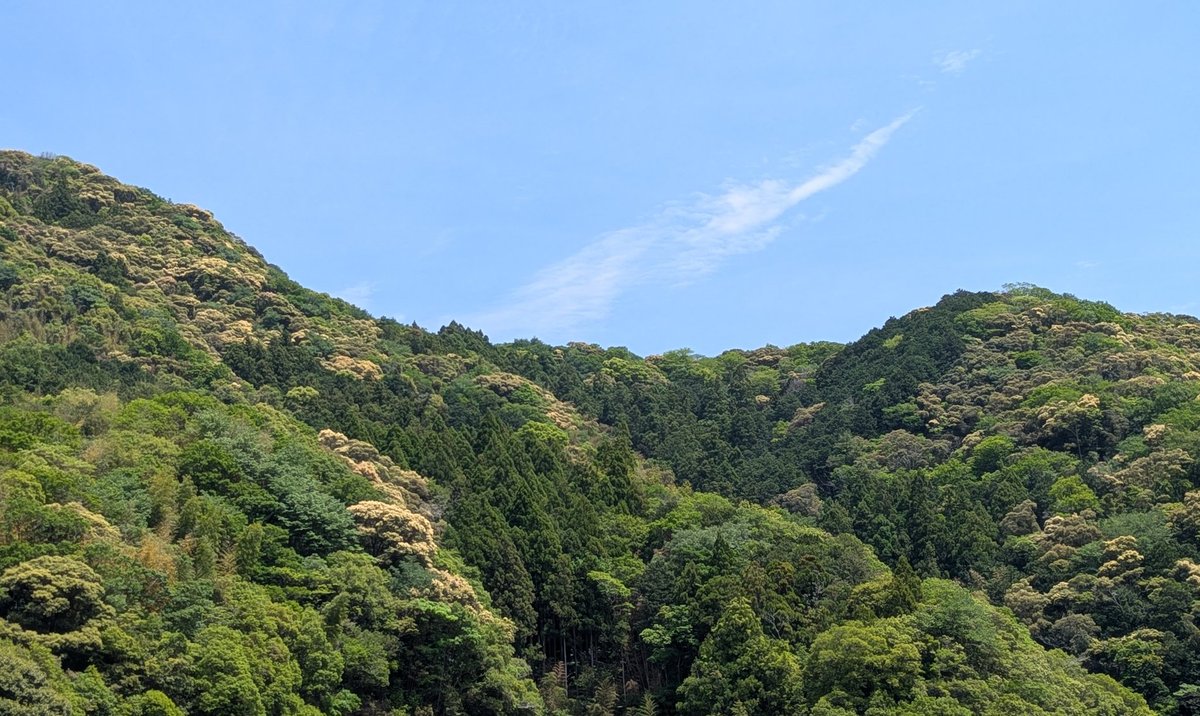 たてしま tweet media