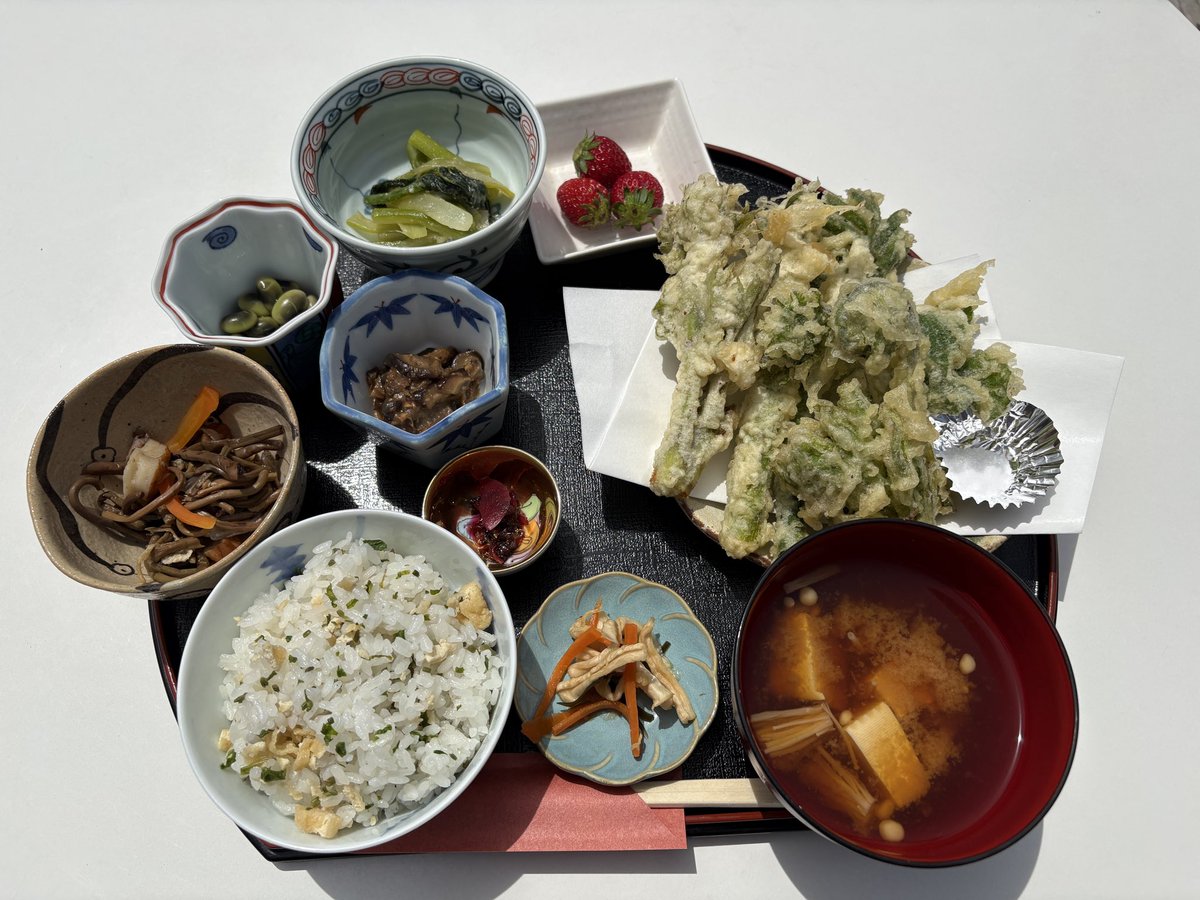 takayama_kankou's tweet photo. 信州高山村は山菜のシーズン❗️

今日ご紹介するのは常盤屋の「山菜定食」です。
タラの芽、コシアブラ、フキノトウ、コゴミなどの天ぷら、コシアブラの混ぜごはん、ゼンマイの煮物、山ウドの酢味噌和えなど、これでもかと付いて1,500円（季節限定。土•日•祭日のみ）

味付けはしっかり、ボリューム満点。
これぞ奥信濃の〝おごっそ（ごちそう）〟

山田温泉にお越しの際はぜひ味わってみてください❗️

#信州高山村 #信州高山村観光協会 #山菜ごはん #山田温泉 #常盤屋