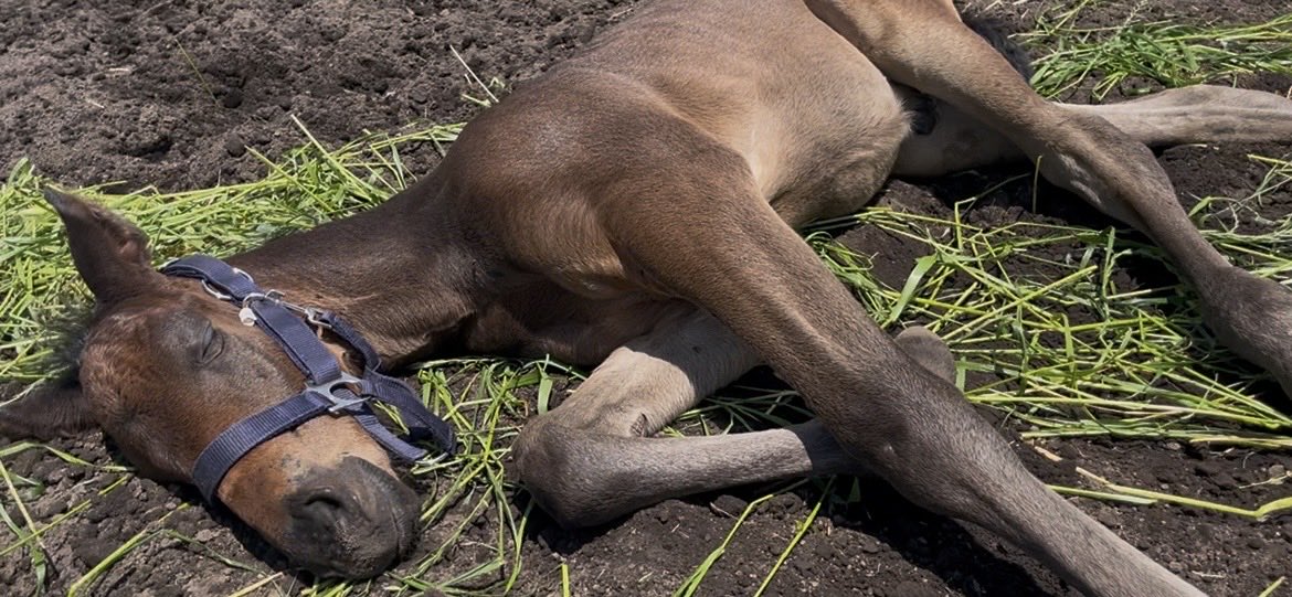 HOPE FARM tweet media