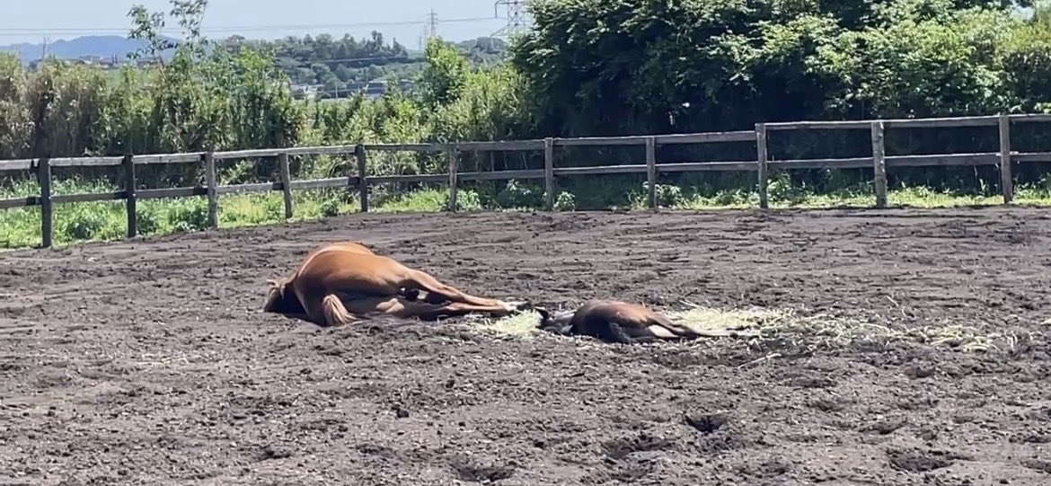 HOPE FARM tweet media