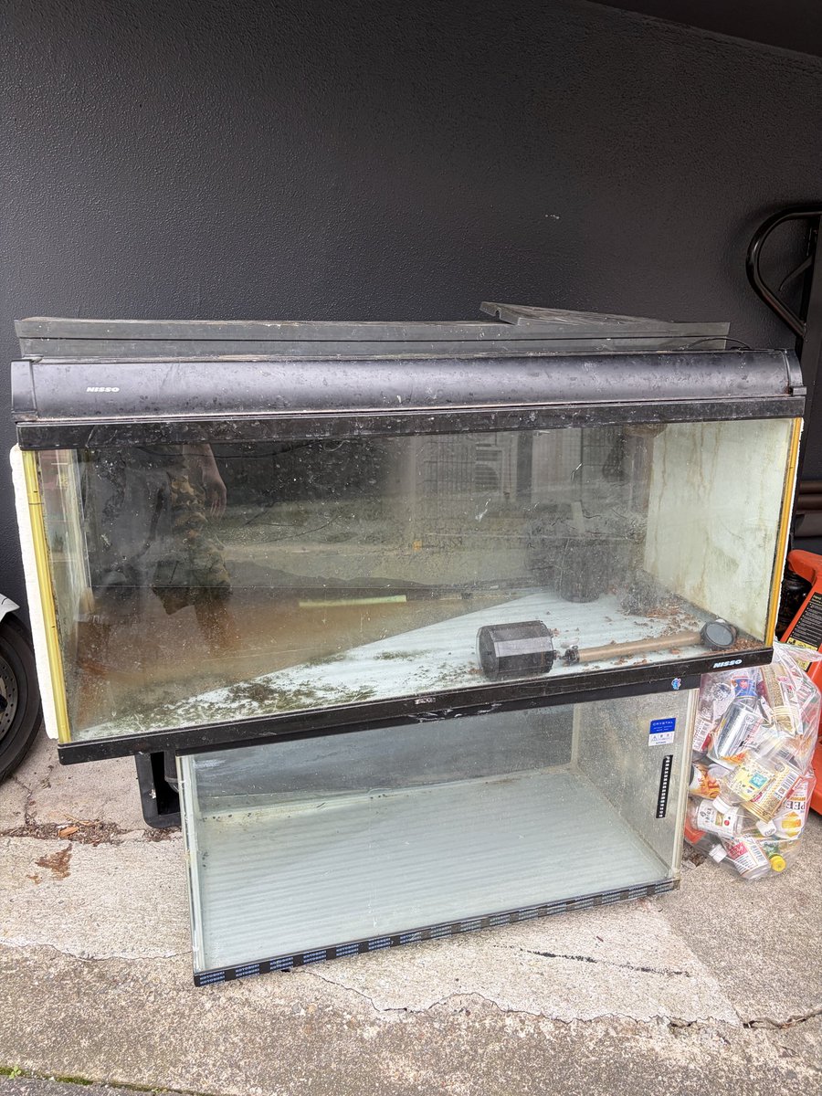 ※決まりました。転勤の為、古代魚を買取もしくは引き取ってくれる方募集 ※決まりました。転勤の為、古代魚を買取もしくは引き取ってくれる方募集