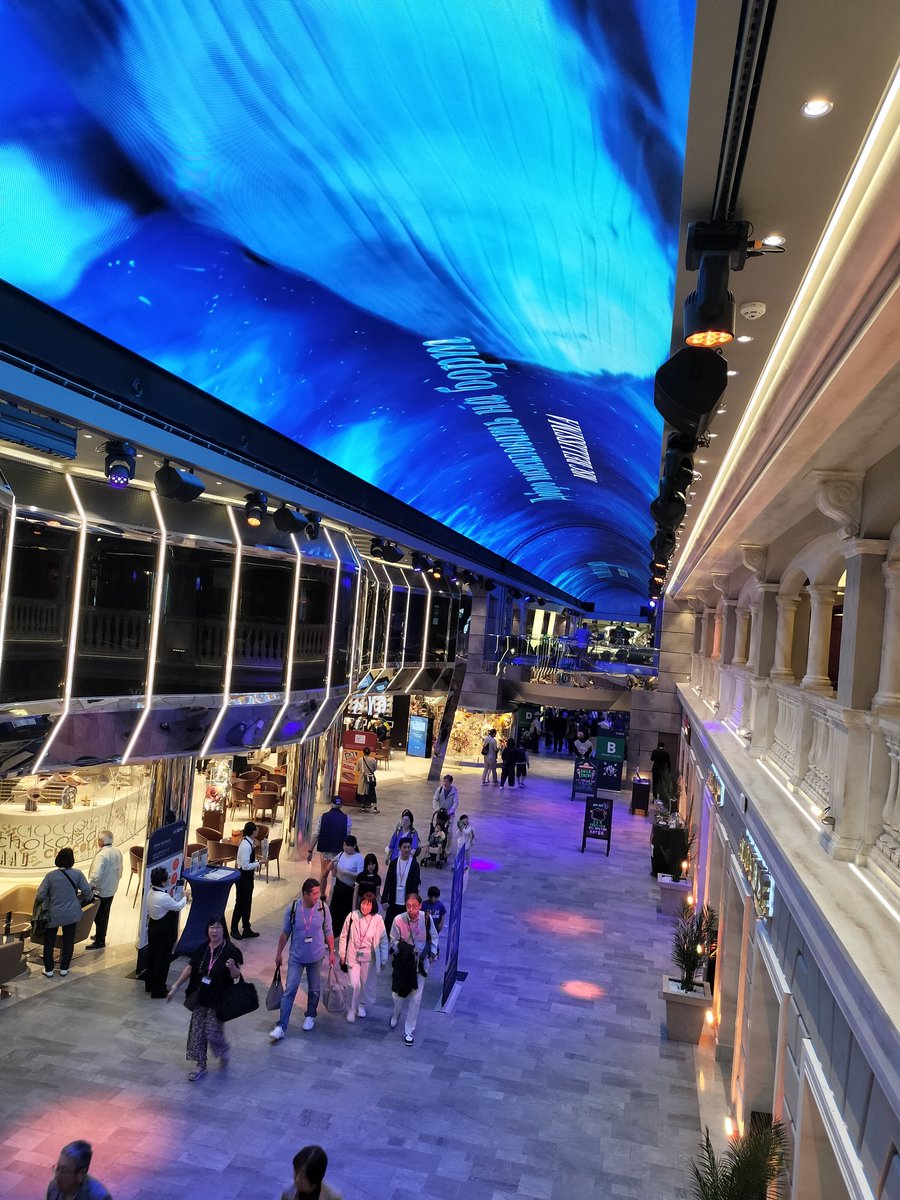 Julla（じゅら）🦖 tweet media