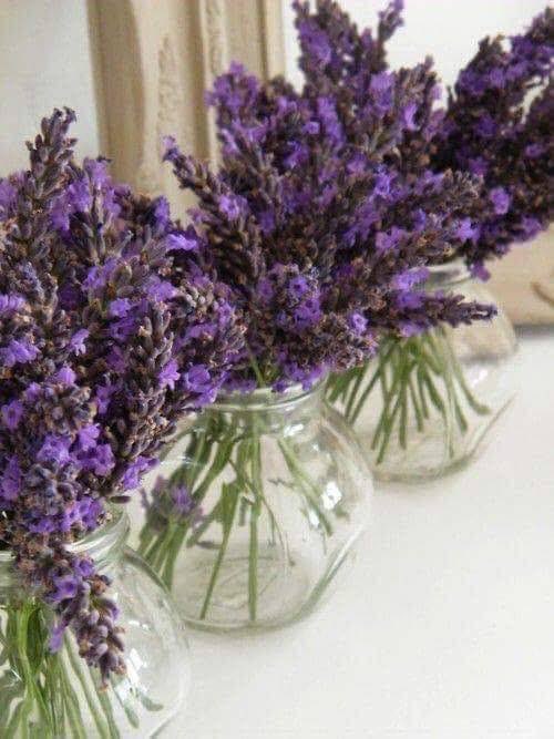 Filippidou Olga tweet media