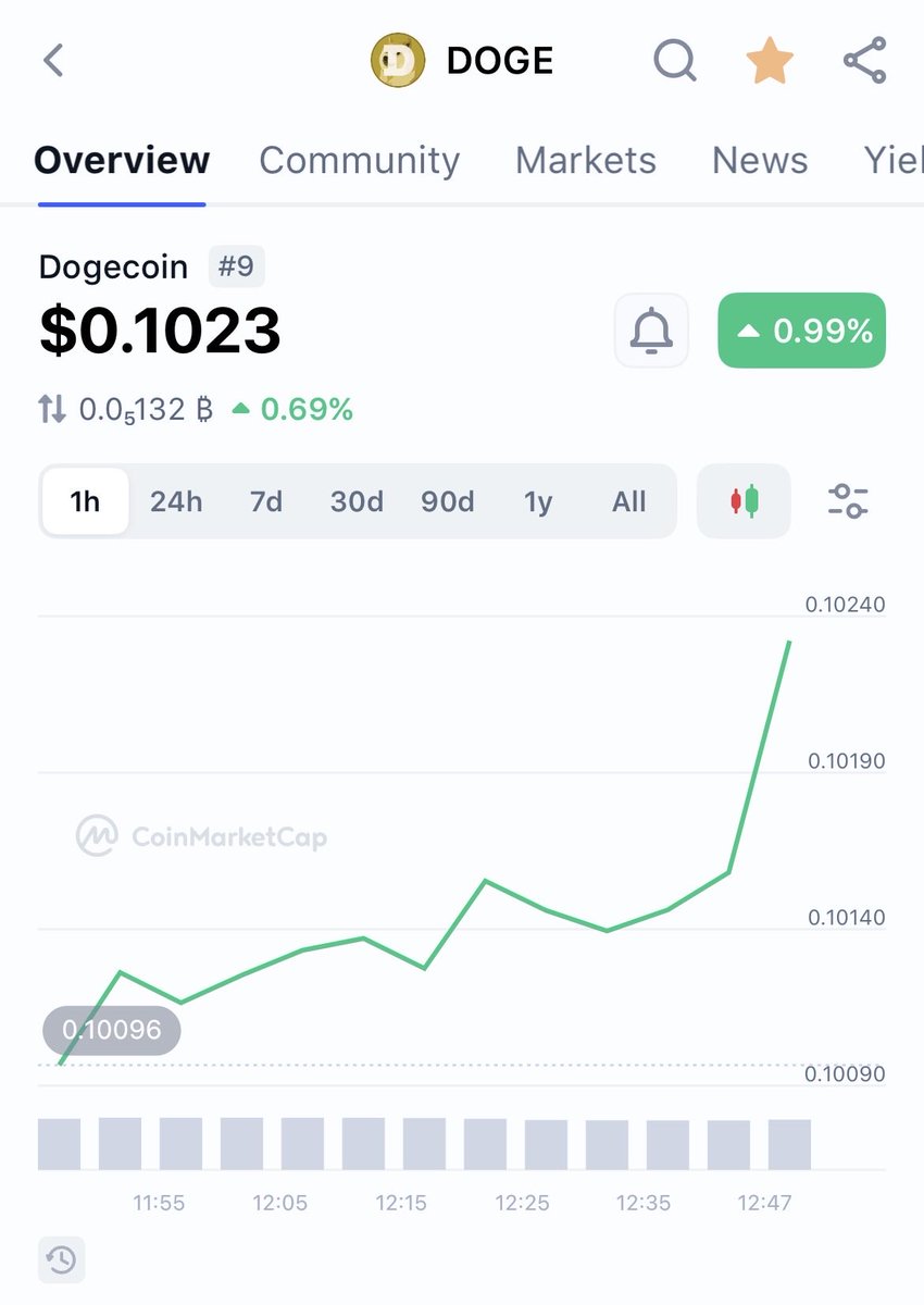 dogegod tweet media